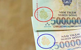 Bắt nguyên Phó TGĐ, thu 100 triệu Euro giả 